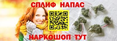 дживик Гай
