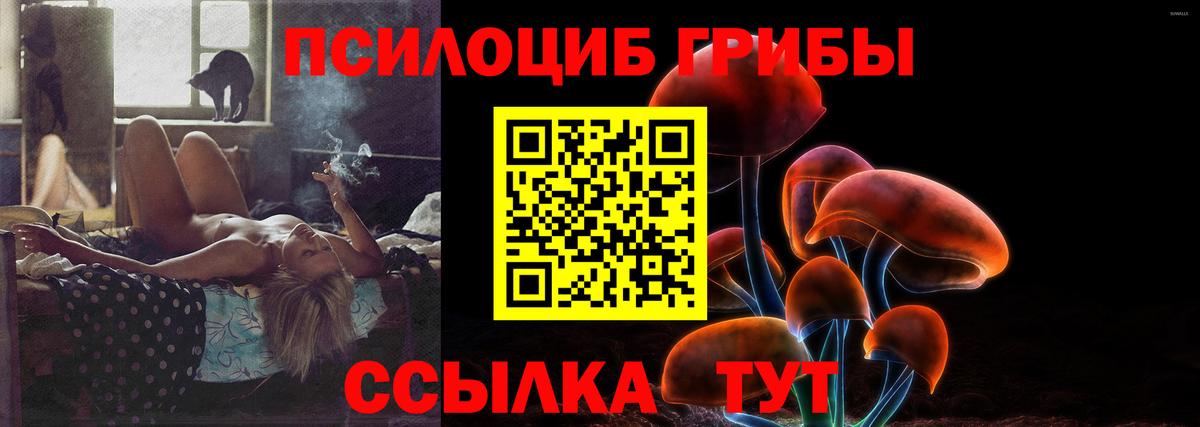 Псилоцибиновые грибы Psilocybine cubensis  Вход с VPN  Псилоцибиновые грибы мицелий  Красноярск 