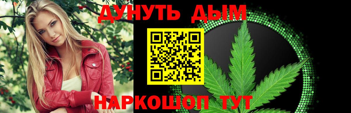 Псилоцибиновые грибы Красноярск